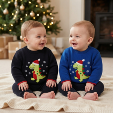 K1590: Baby Christmas Dinosaur Jumper (0-9 Months)